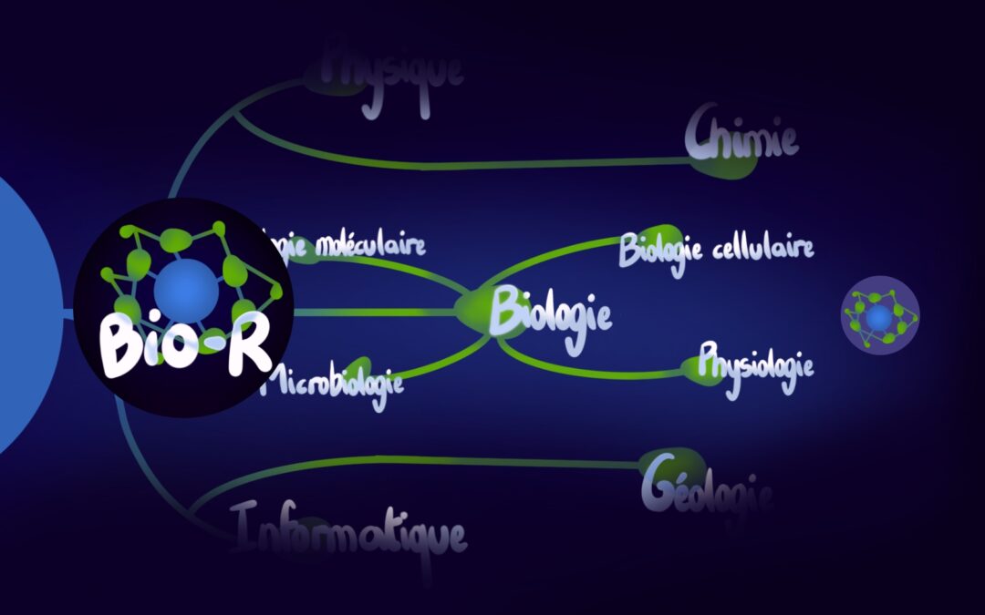 Création identité visuelle – Biorésume
